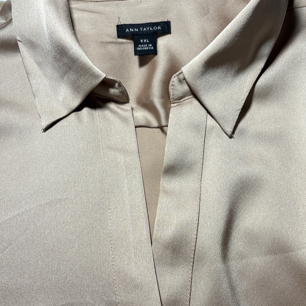 Ann Taylor Beige Button-Up Blouse - Picture 3 of 6